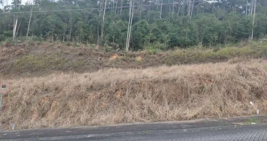 Terreno para Venda em Guabiruba, Aymore
