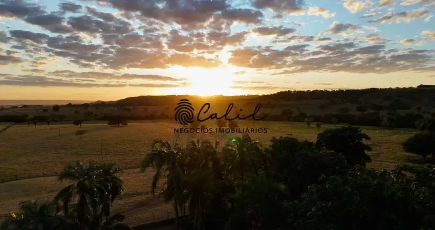 Fazenda 1300 hectares para gado e cana-de-açúcar à venda por r$ 135.000.000,00 - cachoeira alta - goiás