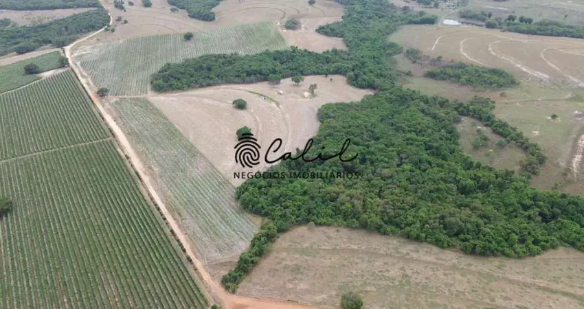 Sítio produtivo com  23,67 hectares à venda por r$ 3.500.000,00 em santo antônio da alegria/sp