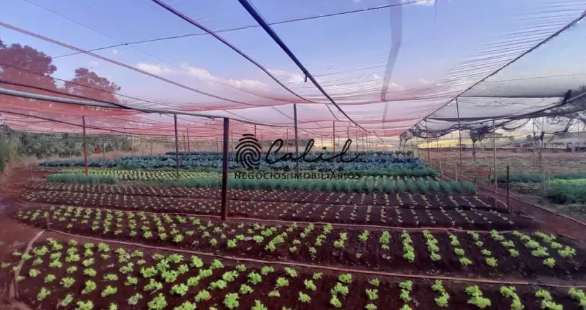 Sítio com 3 dormitórios à venda, 24.200 m² por r$ 7.260.000,00 - zona rural - cravinhos /sp