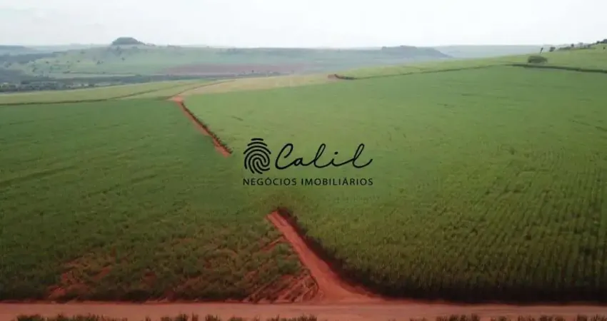 Sítio já arrendado com 26,62 hectares à venda por r$ 2.500.000,00 - santo antônio da alegria/sp