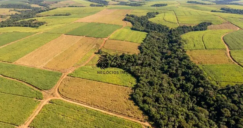 Fazenda com 133,53 hectares à venda por R$ 9.000.000,00 - Brotas/SP