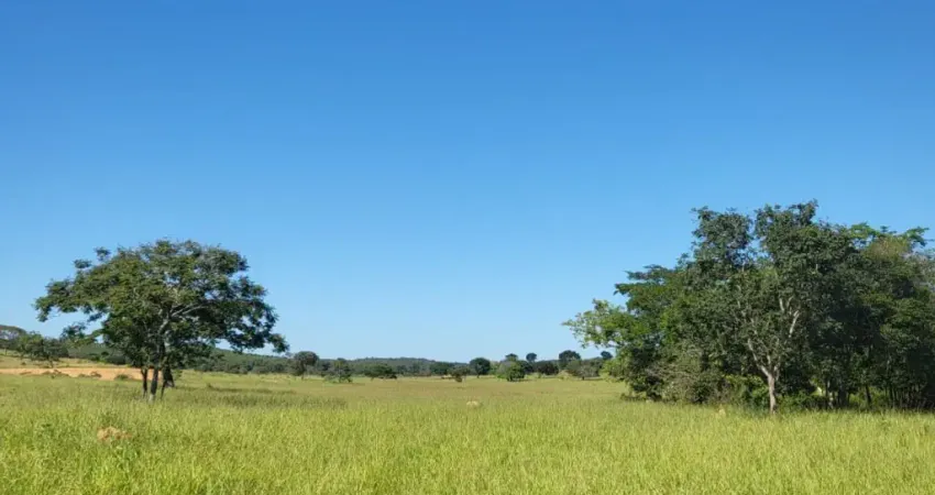 Excelente Fazenda de gado em Pirapama-MG, à pouco mais de 100 km de BH