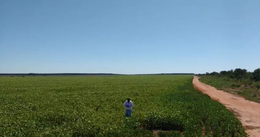 Fazenda à venda na Zona Rural, Bonito de Minas 