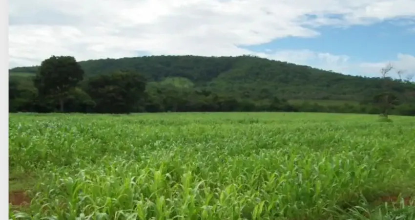 Fazenda à venda na Zona Rural, Curvelo 