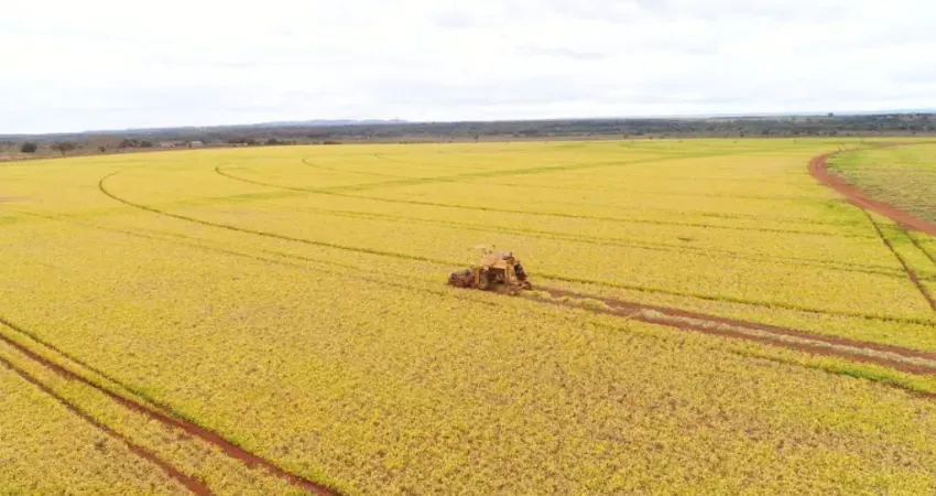 Fazenda à venda na Zona Rural, Unaí 
