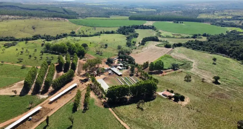 Magnífica Fazenda leiteira na região de Felixlândia.