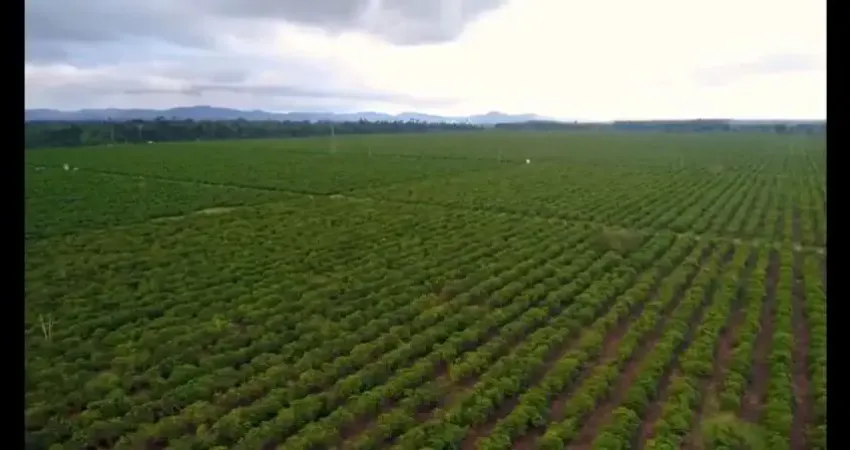 Fazenda à venda na Zona Rural, Itamaraju