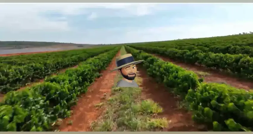 Fazenda à venda no Centro, Joaquim Felício 