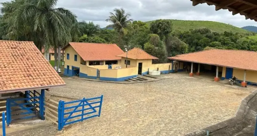 Maravilhosa fazenda com múltiplas aptidões em são joão nepomuceno