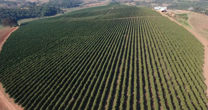 Fazenda à venda na Zona Rural, São Gonçalo do Sapucaí 