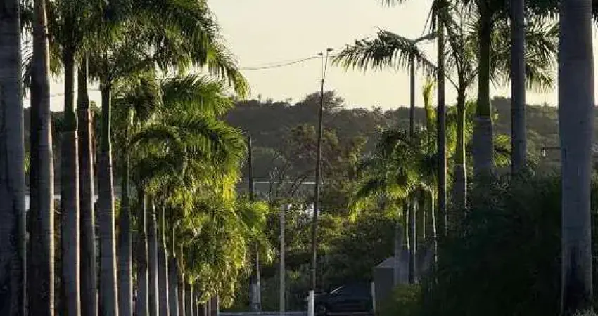 Lote à venda em ponta negra (natal/rn) | ponta negra boulevard | 420m²