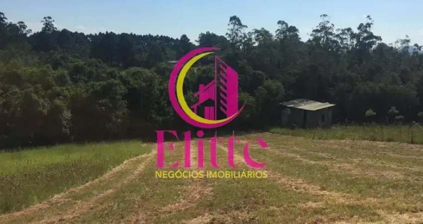 Chácara / sítio à venda na Estrada Dionizio Cardoso de Lima, Neópolis, Gravataí