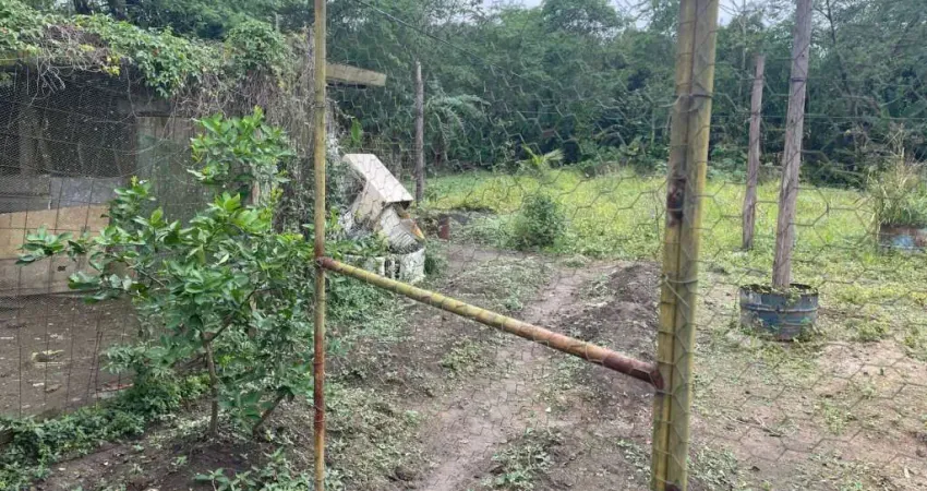 Terreno à venda no Jardim Virgínia, Guarujá 