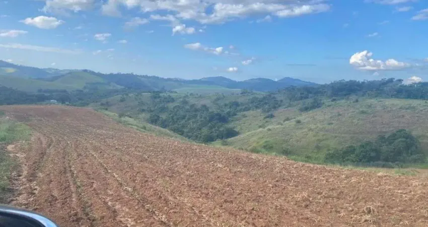 Fazenda à venda no Centro, Lima Duarte 