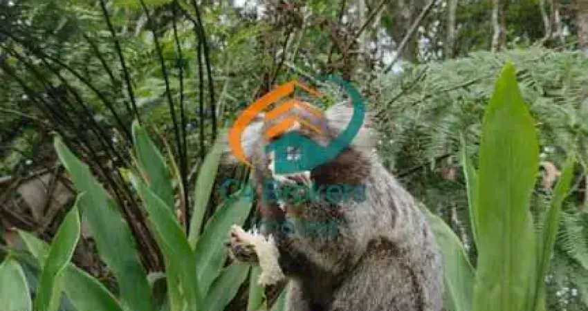 Chácara / sítio com 2 quartos à venda no Clube dos Oficiais, Suzano