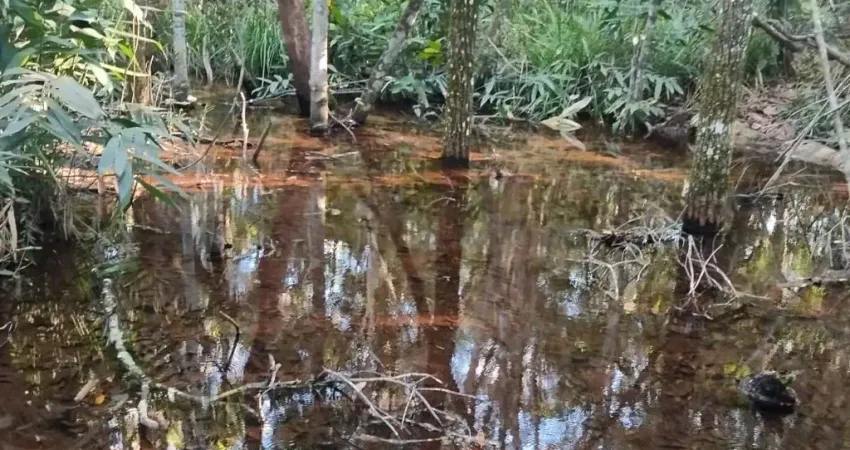 Chacara de 27.8 Hectares.  35 km de CG.
