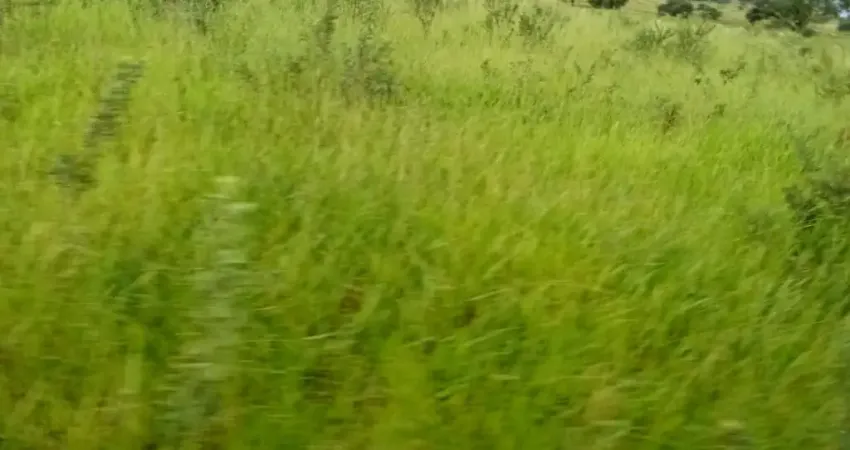 Chácara / sítio à venda na Rua Orlando Nogueira, Zona Rural, Jaraguari