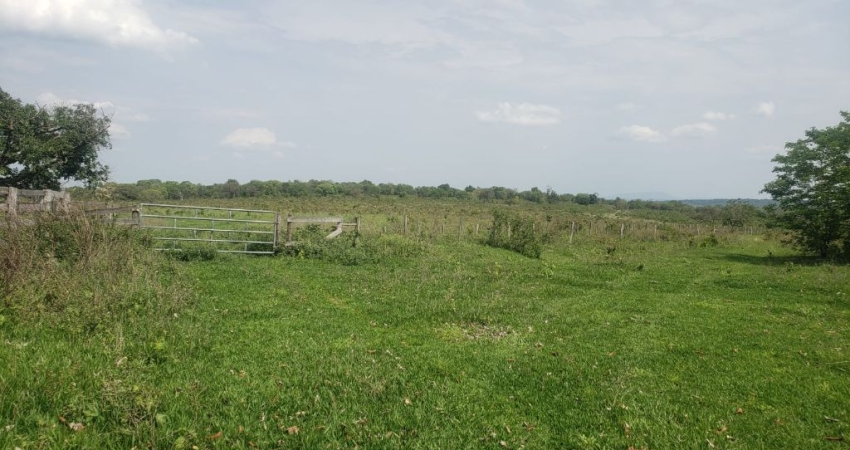 Fazenda com 2 salas à venda na Zona Rural, Ribas do Rio Pardo 