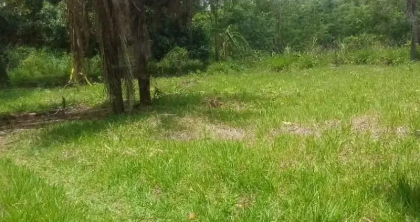 Oportunidade terra de agricultura. 5.5 hectares. jaraguari ms