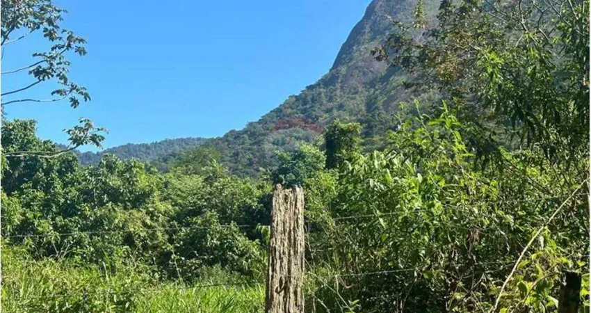 Aproveite anda resta esta belissima chacara em sana , bicuda pequena 1