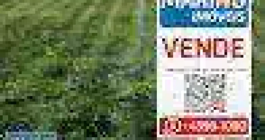 Terreno à venda, 125 m² por r$ 300.000,00 - vila rosa - são bernardo do campo/sp