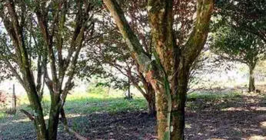 Chácara com 3 dormitórios à venda, 2000 m² por r$ 1.000.000,00 - jardim da represa - são bernardo do campo/sp