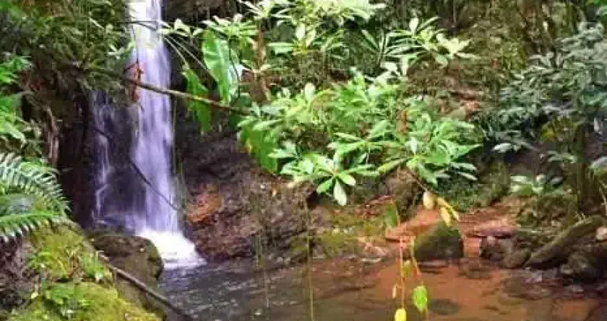 Chácara / sítio à venda em Oliveira, Tijucas 