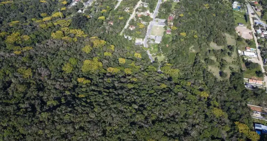 Terreno comercial à venda na Praia do Estaleiro, Balneário Camboriú 
