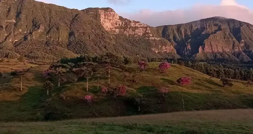 Chácara / sítio à venda no Centro, Santa Rosa de Lima 
