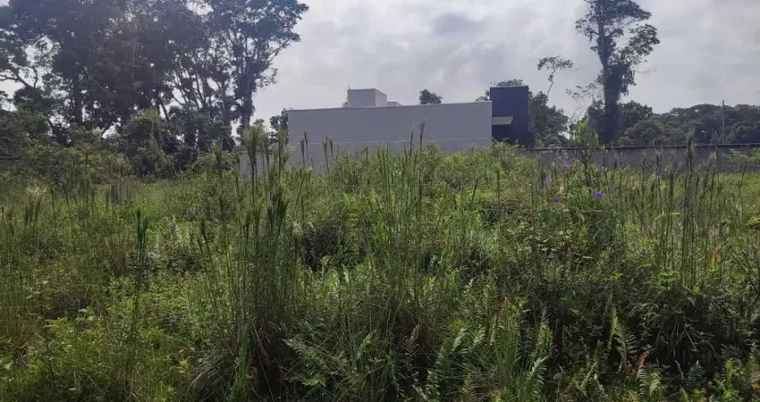Terreno comercial à venda no Brandalize, Itapoá 