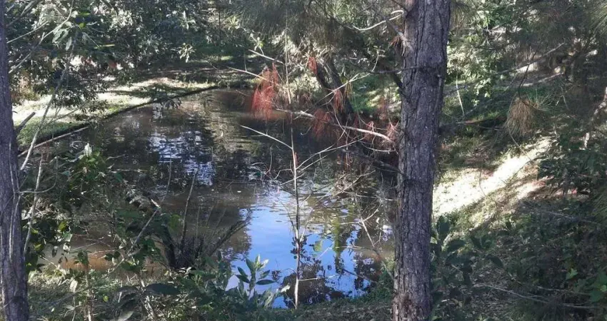 Terreno à venda,  101.000 m²  (ideal para centro de distribuição) são miguel , biguaçu/sc
