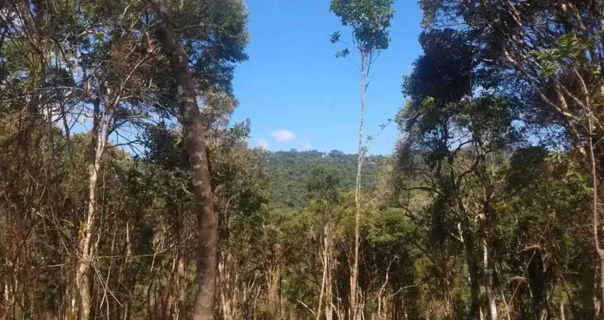 Terreno comercial à venda na Zona Rural, Rancho Queimado 