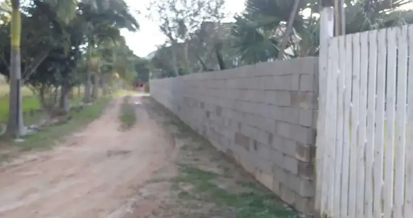 Chácara com 600 tipos de Plantações pelo terreno! Com 5 dormitórios em Canelinhas/SC.