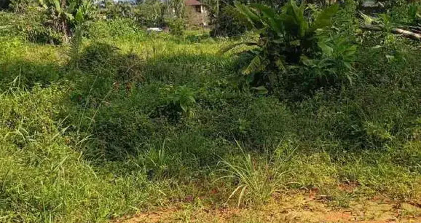 Terreno comercial à venda no Centro, Morretes