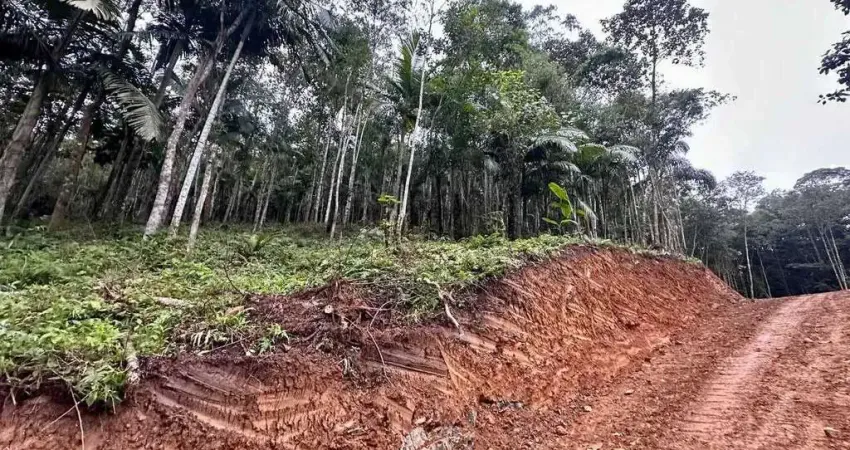 Terreno comercial à venda no Centro, Massaranduba