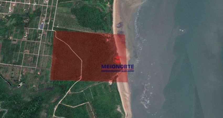 Praia de Itapary, 10 hectares livres de poluição, venha conher!