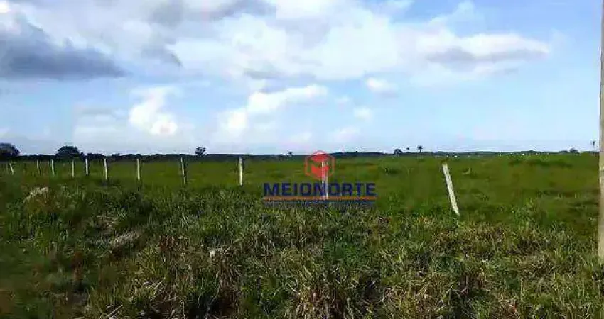 Fazenda com 1 dormitório à venda, 22120000 m² por R$ 46.100.000,00 - Jardim Tropical - Imperatriz/MA