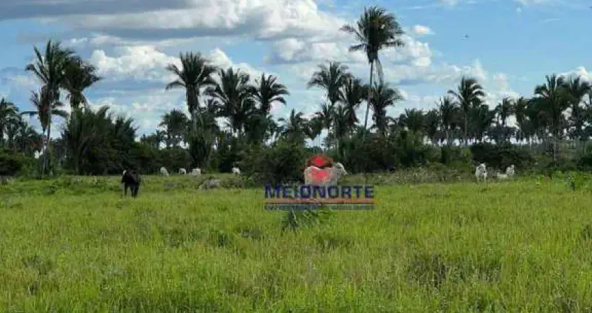 Fazenda com 1 dormitório à venda, 14400000 m² por R$ 2.500.000,00 - Arari - Zona Rural - Arari/MA