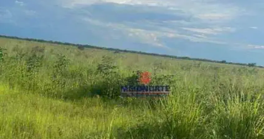 Fazenda com 1 dormitório à venda, 17153601 m² por R$ 17.160.000,00 - Área Rural - Floriano/PI