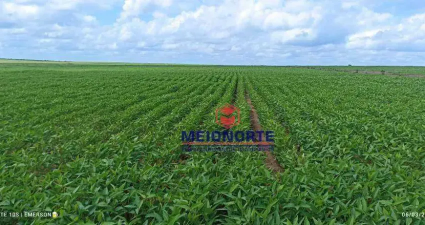 Fazenda com 1 dormitório à venda, 30250000 m² por R$ 100.000.000,00 - Santa Filomena - Santa Filomena/PI