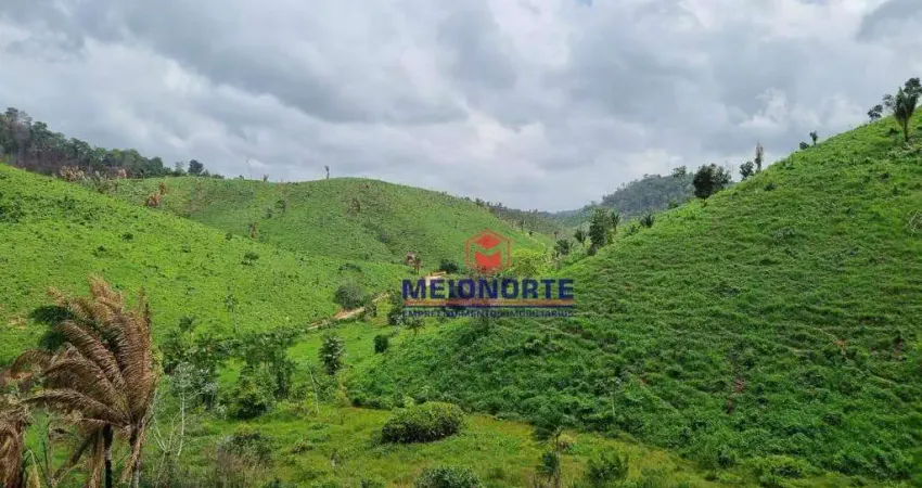 Fazenda à venda, 5480000 m² por R$ 4.000.000,00 - Centro - Alto Alegre do Maranhão/MA