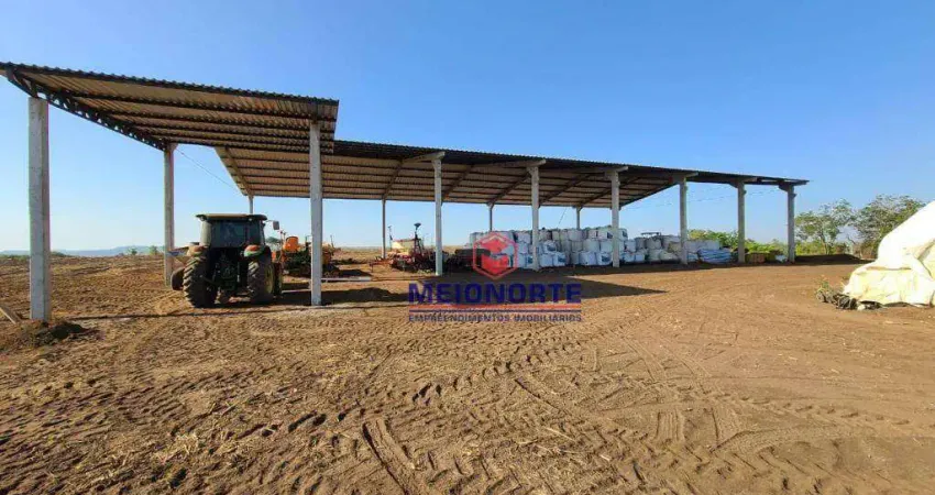 Fazenda com 1 dormitório à venda, 12390000 m² por R$ 24.780.000,00 - Centro - Matões/MA