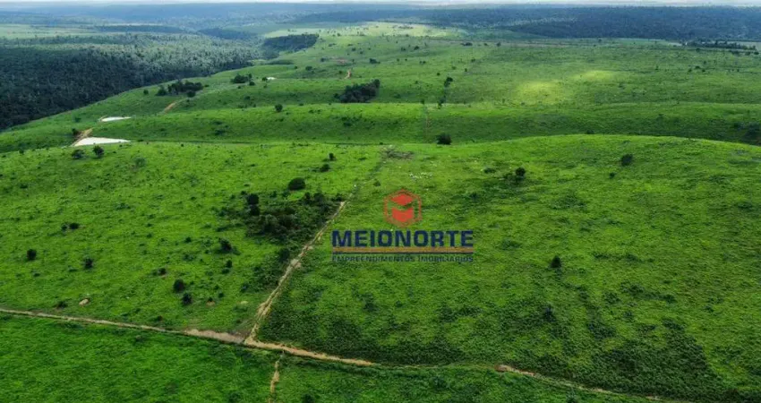 Fazenda com 4 dormitórios à venda, 4800000 m² por R$ 14.950.000,00 - Terra Bela - Buriticupu/MA