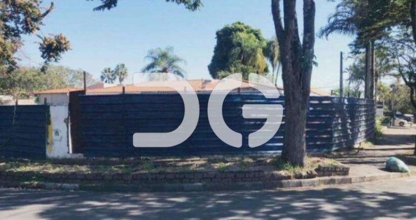 Terreno para alugar em Campinas, Nova Campinas, com 1600 m²