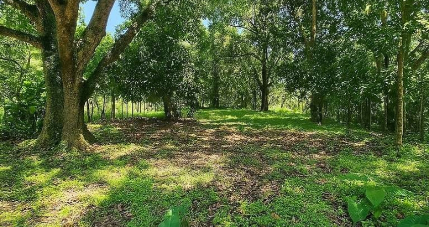 Terreno para Venda em Saquarema, Serra de Mato Grosso (Sampaio Correia)