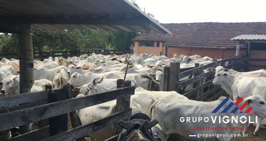 Fazenda para Venda em Araruama, Monteiro (São Vicente)
