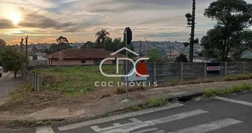 Terreno à venda na Rua Henrique Clock, 344, Orfãs, Ponta Grossa