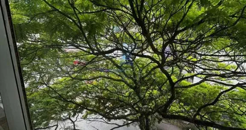 Apartamento na osmar cunha, 2 dormitórios, dependência de empregada, 1 vaga garagem