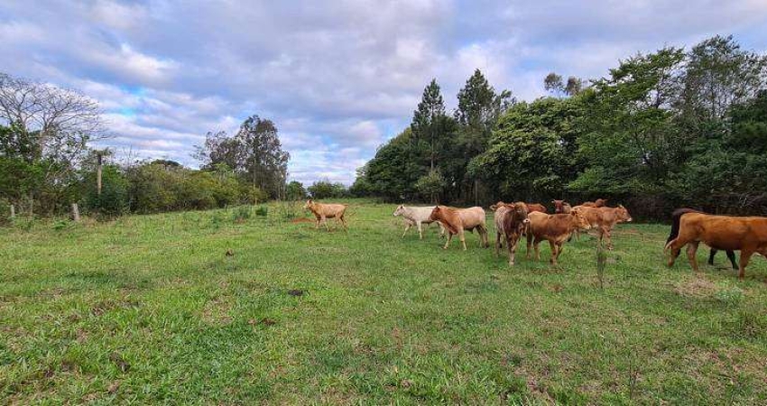 Chácara / sítio com 2 quartos à venda na Rodovia BR 386, 0000, Costa Da Cadeia, Triunfo